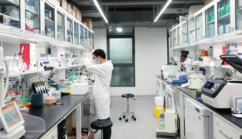 加快世界領先科技園區建設 瞭望治國理政紀事